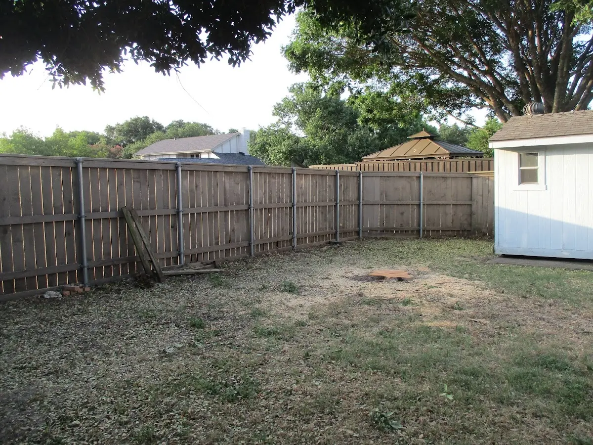 Cleared yard after professional tree removal in Morganville