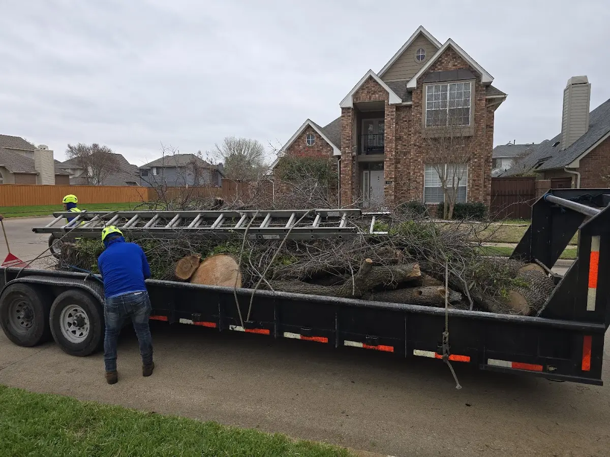 Expert Tree Removal with proper safety equipment in Morganville
